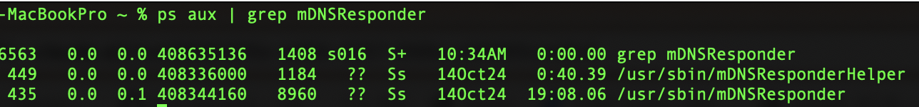 mDNSResponder processes