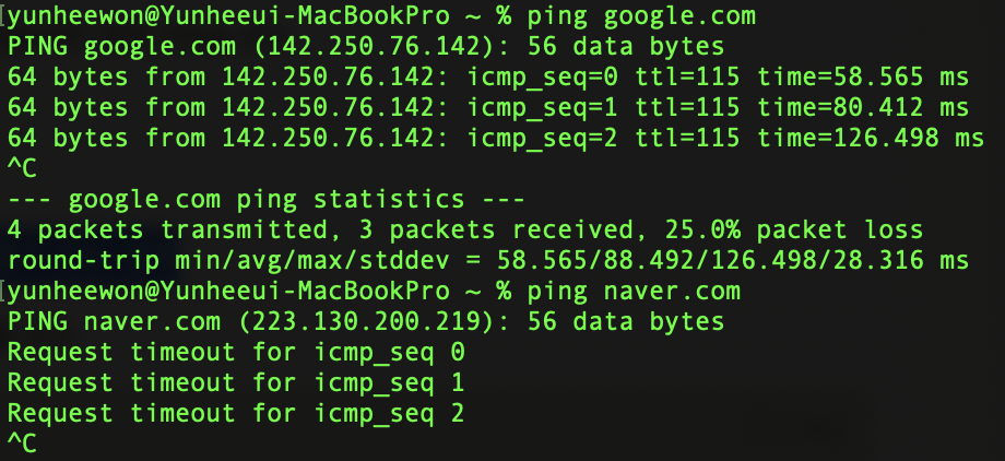 ping google vs naver